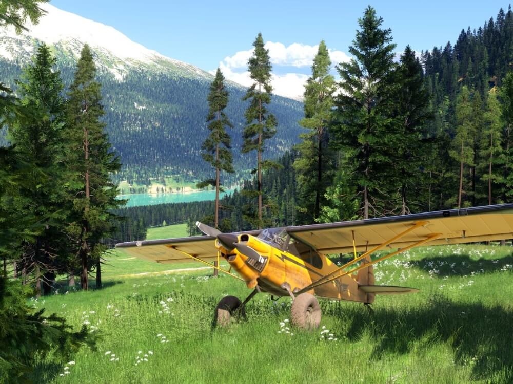 Flight Simulator Rntal Microsoft - Flight Simulator 2024 - FlightsimWebshop - FlightsimWebshop